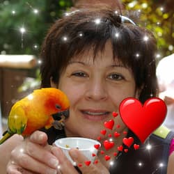 Patty Bedard